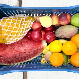Box frutas da estação