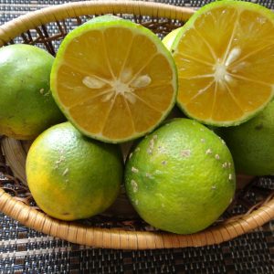 Limão Comum