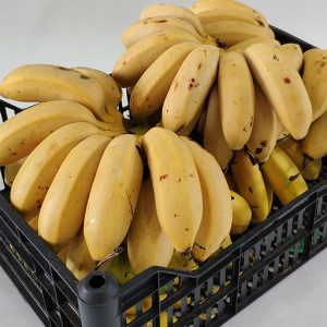 Banana Maçã