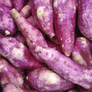 Batata Doce Rosa