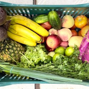 Box Essencial da casa